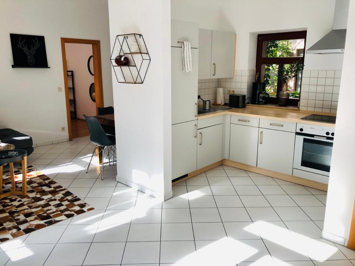 Ferienwohnungen Mit Terrasse In Zwingernaehe - Hilger Rentals Dresde Exterior foto