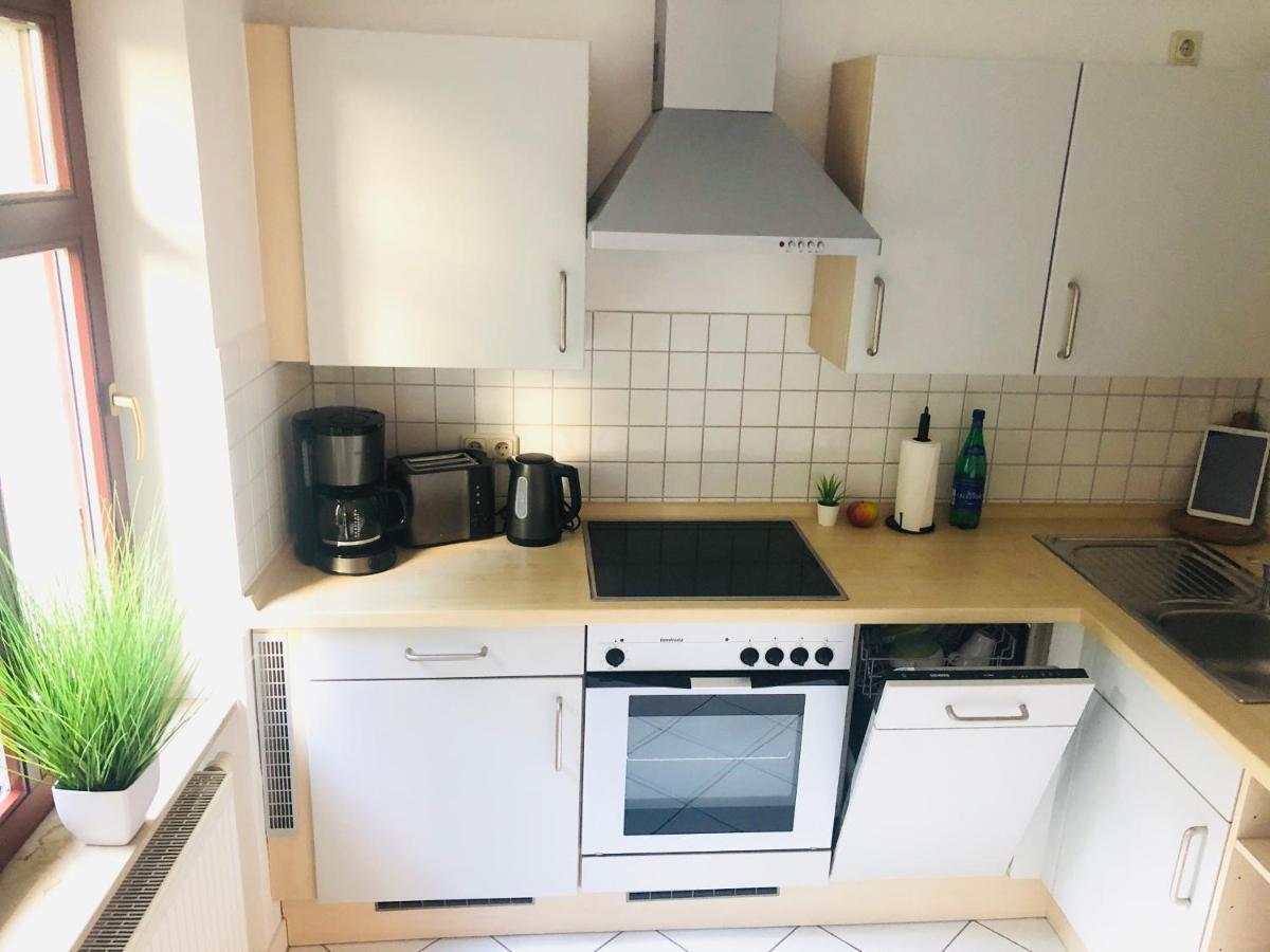 Ferienwohnungen Mit Terrasse In Zwingernaehe - Hilger Rentals Dresde Exterior foto